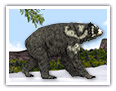 巨型短面熊