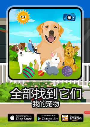 全部找到它们：我的宠物